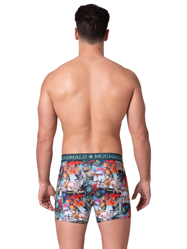 Stylish men’s boxer