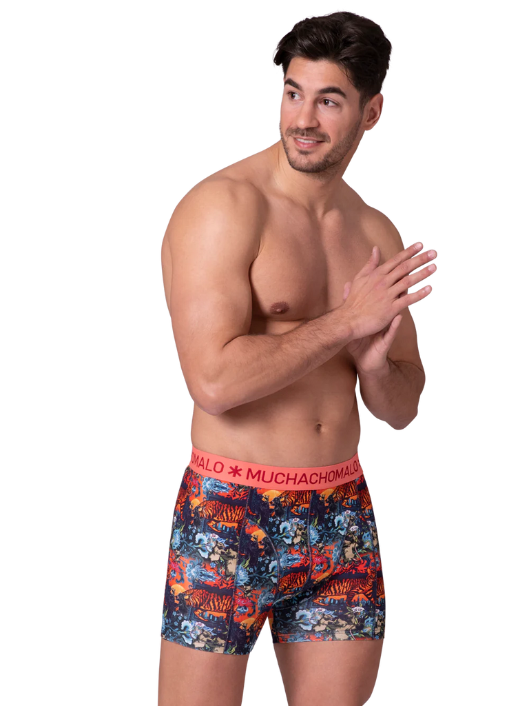 Comfy stretch boxer